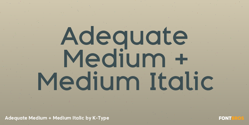 Adequate Medium + Medium Italic Font Poster #1