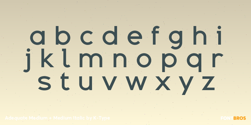 Adequate Medium + Medium Italic Font Poster #3