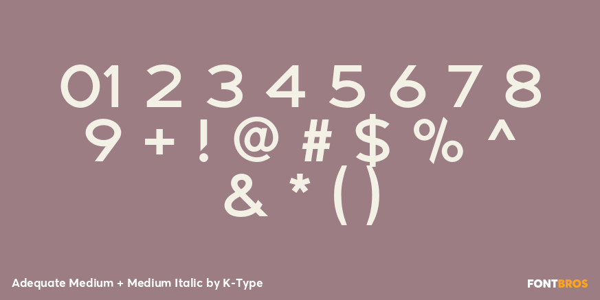 Adequate Medium + Medium Italic Font Poster #4