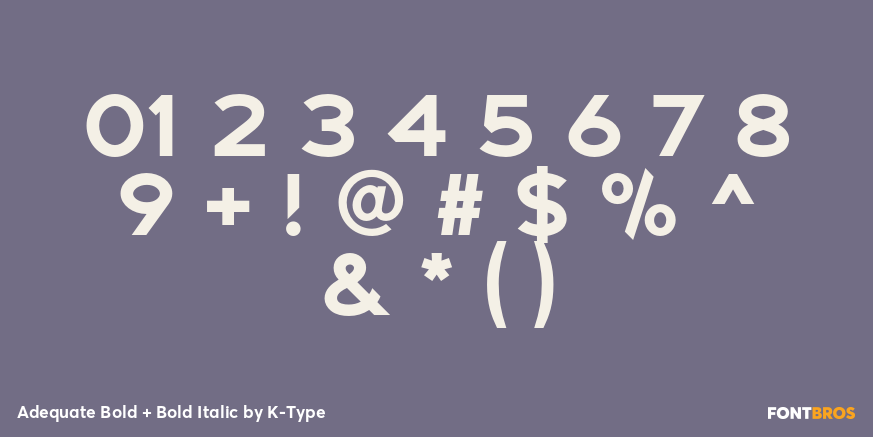 Adequate Bold + Bold Italic Font Poster #4