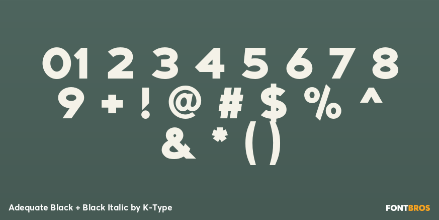 Adequate Black + Black Italic Font Poster #1