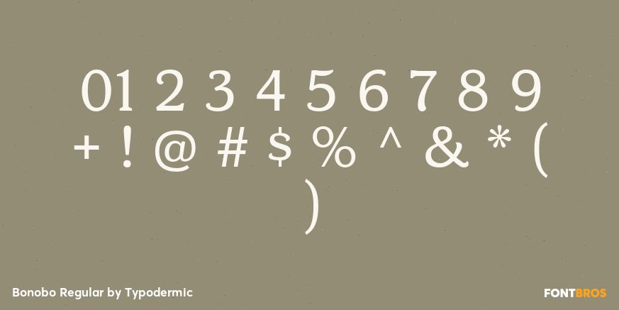 Bonobo Regular Font Poster #1