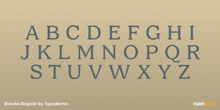 Bonobo Regular Font Poster #2