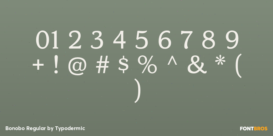 Bonobo Regular Font Poster #4