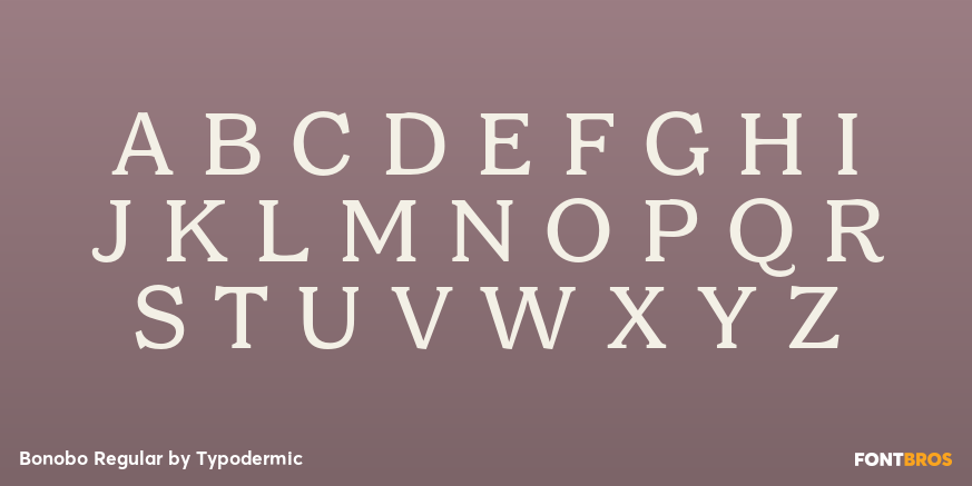 Bonobo Regular Font Poster #1