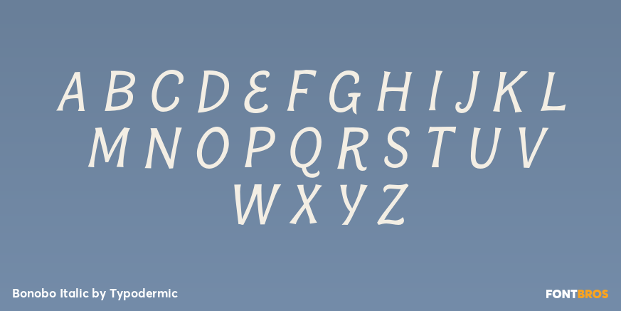 Bonobo Italic Font Poster #2