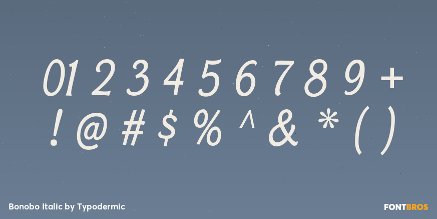 Bonobo Italic Font Poster #4