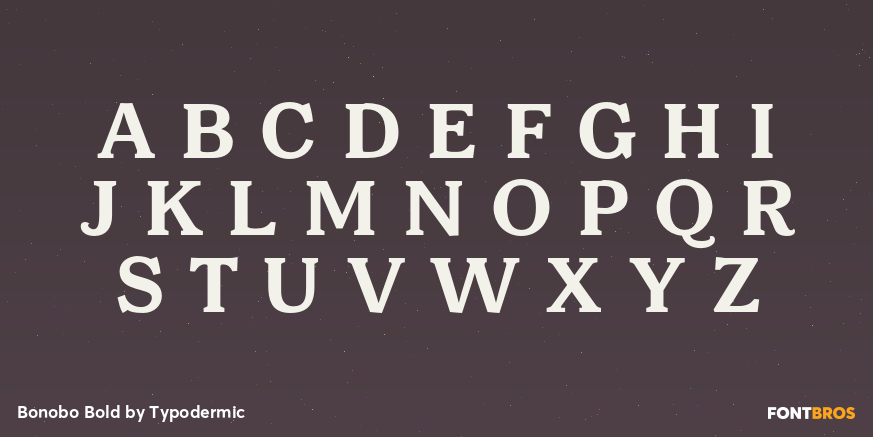 Bonobo Bold Font Poster #2