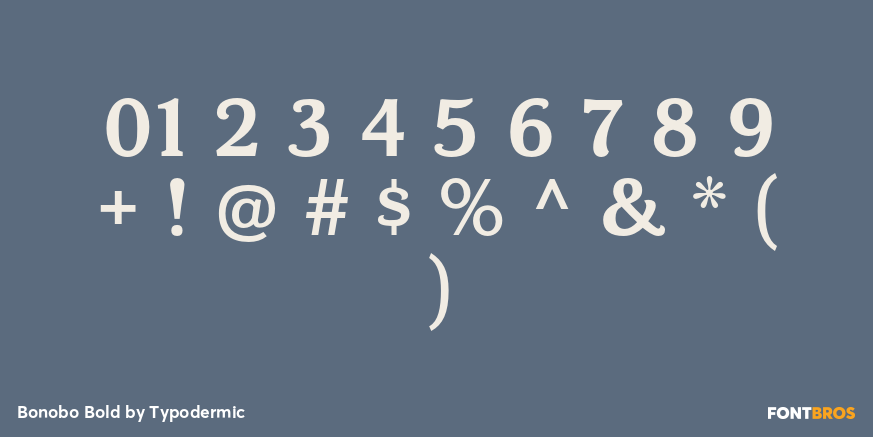 Bonobo Bold Font Poster #4