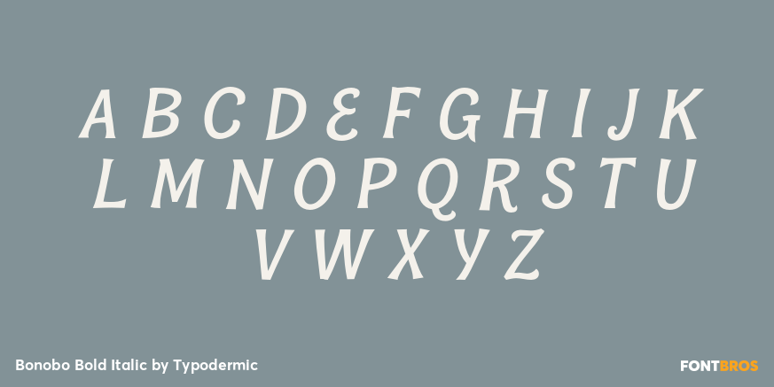 Bonobo Bold Italic Font Poster #2