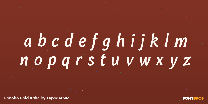 Bonobo Bold Italic Font Poster #3