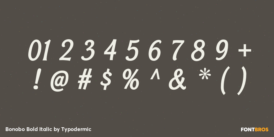 Bonobo Bold Italic Font Poster #4