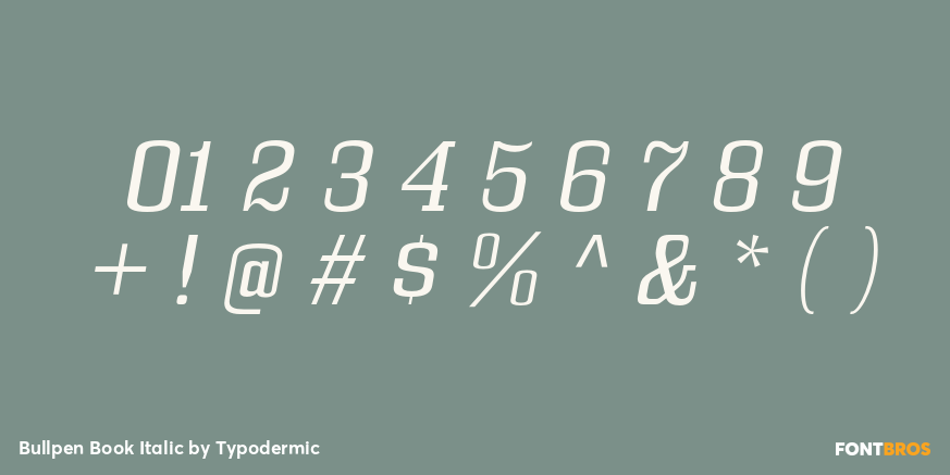 Bullpen Book Italic Font Poster #4