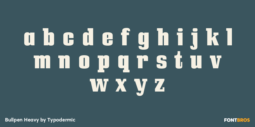 Bullpen Heavy Font Poster #3