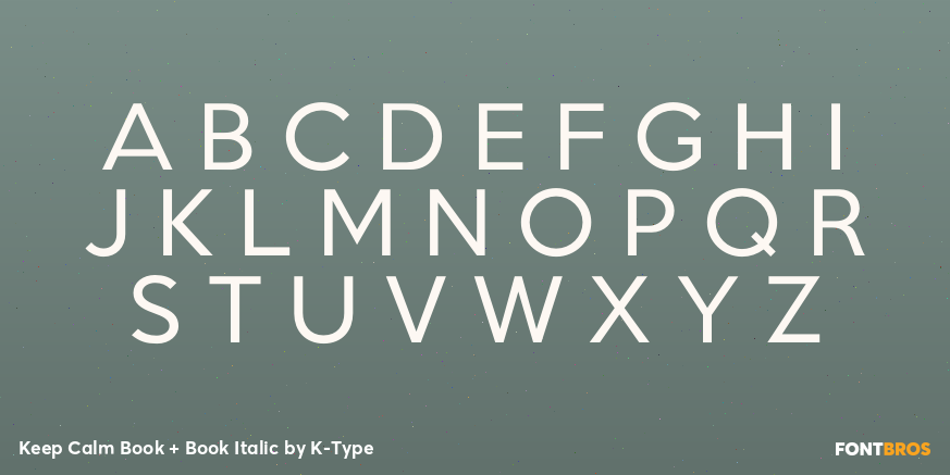 Keep Calm Book + Book Italic Font Poster #2