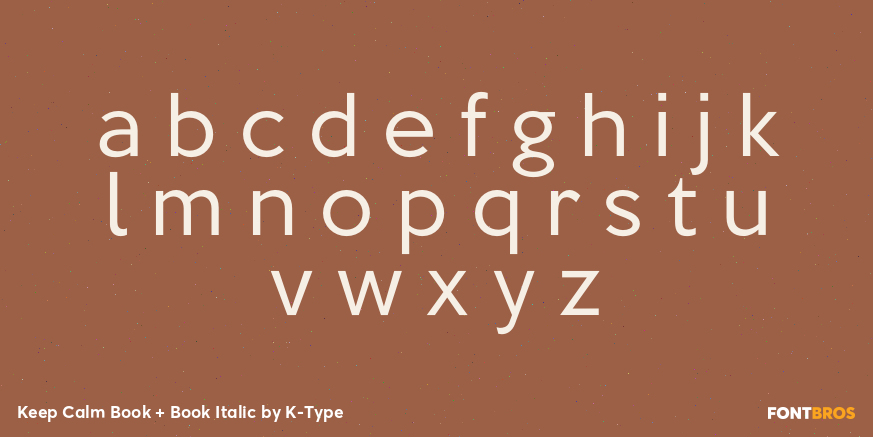 Keep Calm Book + Book Italic Font Poster #3