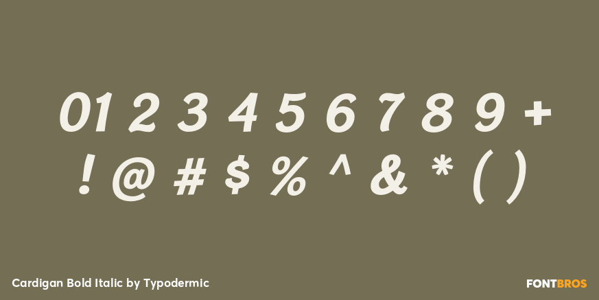 Cardigan Bold Italic Font Poster #4