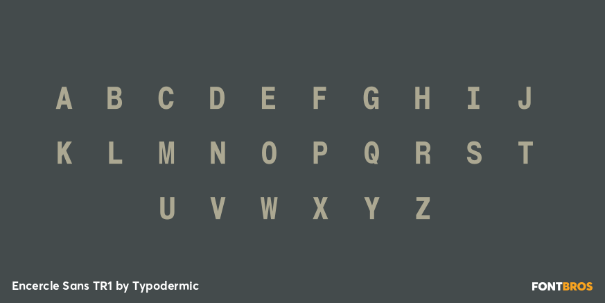 Encercle Sans TR1 Font Poster #1