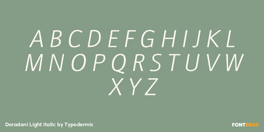 Doradani Light Italic Font Poster #2