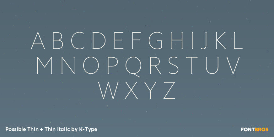 Possible Thin + Thin Italic Font Poster #2
