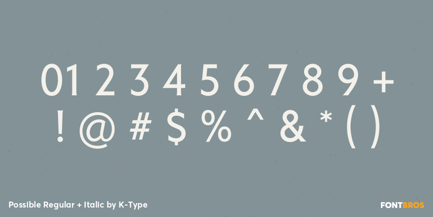 Possible Regular + Italic Font Poster #4