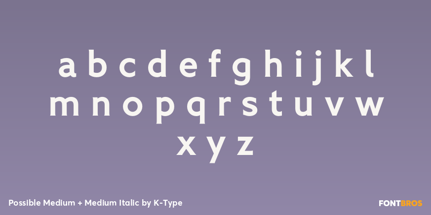 Possible Medium + Medium Italic Font Poster #3