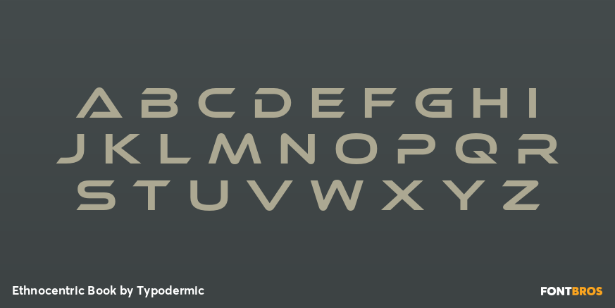 Ethnocentric Book Font Poster #3