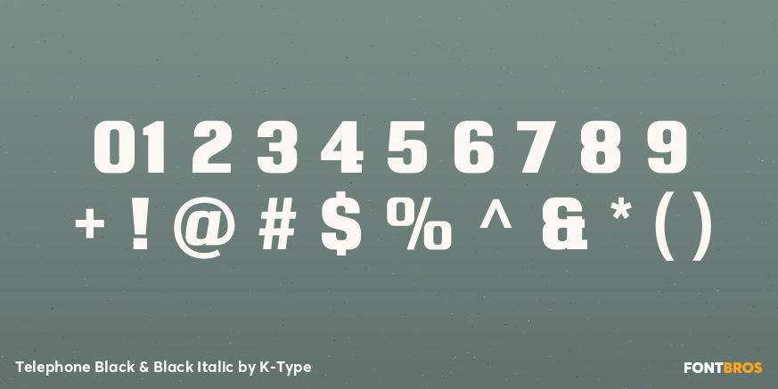 Telephone Black & Black Italic Font Poster #4