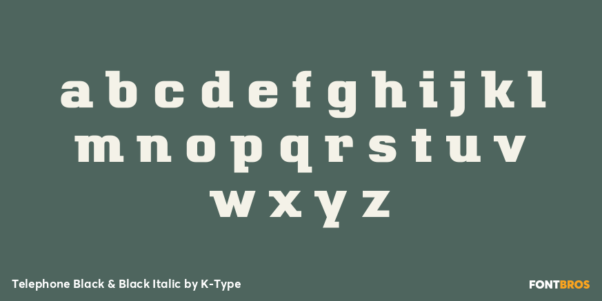 Telephone Black & Black Italic Font Poster #1