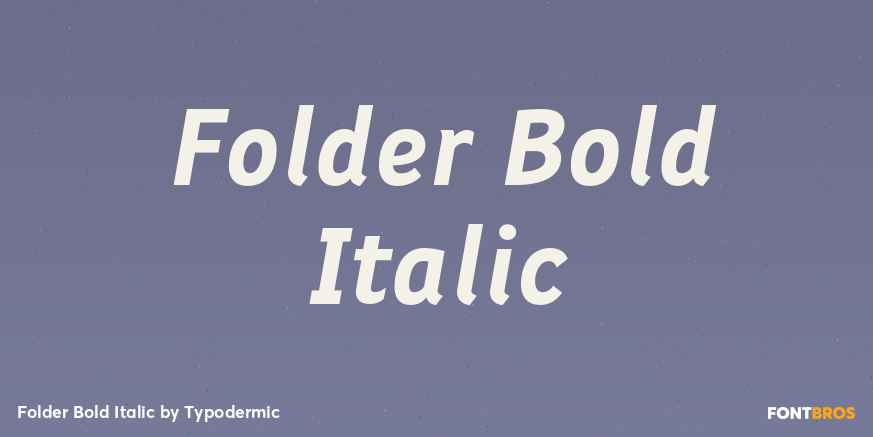 Folder Bold Italic Font Poster #1