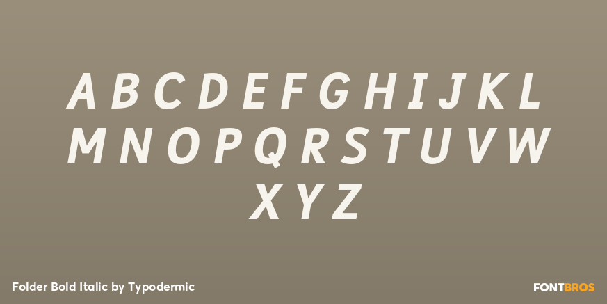 Folder Bold Italic Font Poster #2