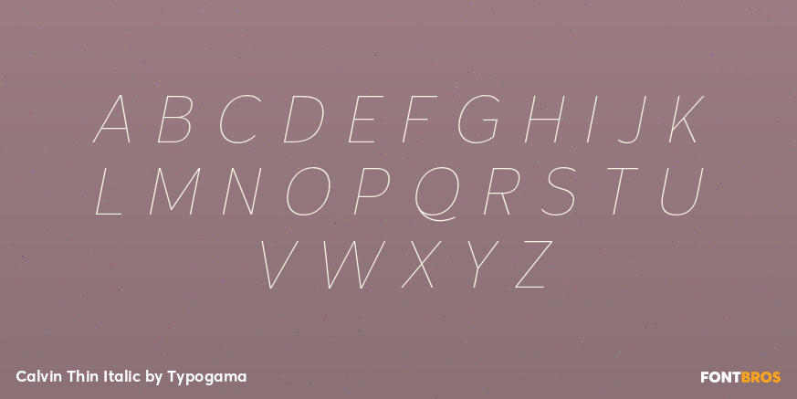 Calvin Thin Italic Font Poster #2