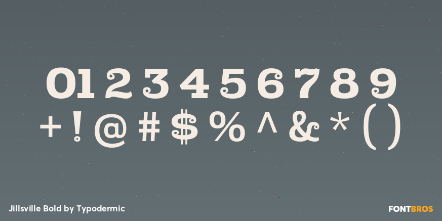 Jillsville Bold Font Poster #4