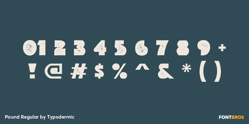 Pound Regular Font Poster #4