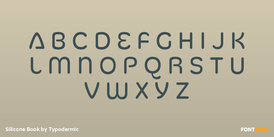 Silicone Book Font Poster #3