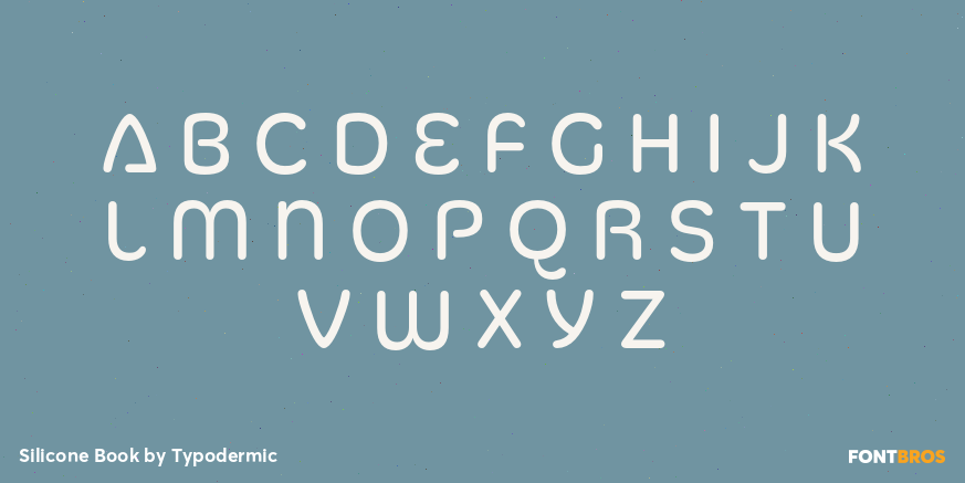 Silicone Book Font Poster #1