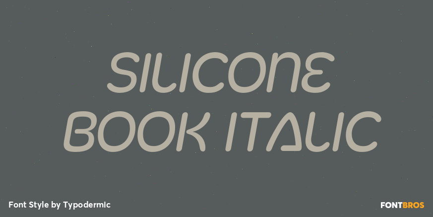 Silicone Book Italic Font Poster #1