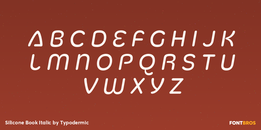 Silicone Book Italic Font Poster #2