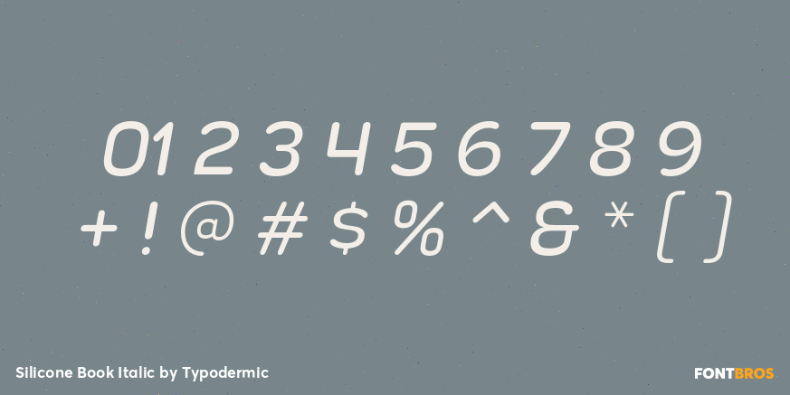 Silicone Book Italic Font Poster #4