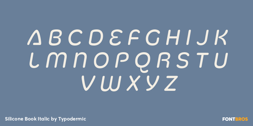 Silicone Book Italic Font Poster #1