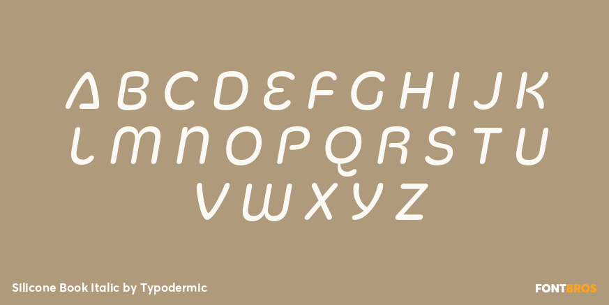 Silicone Book Italic Font Poster #1
