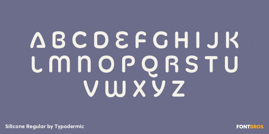 Silicone Regular Font Poster #3