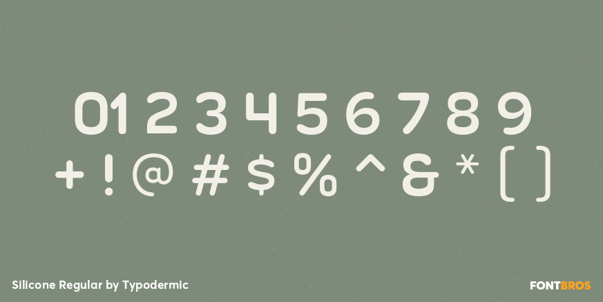 Silicone Regular Font Poster #4