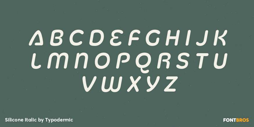Silicone Italic Font Poster #3