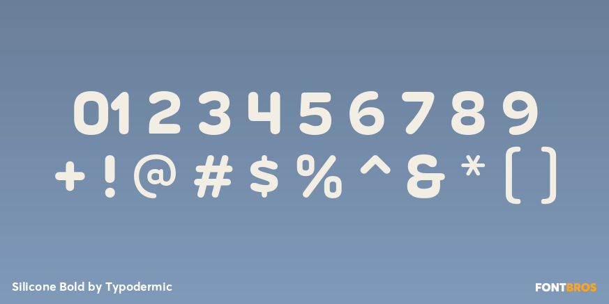 Silicone Bold Font Poster #1