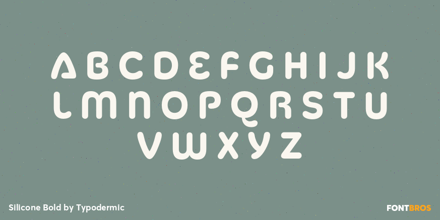 Silicone Bold Font Poster #3