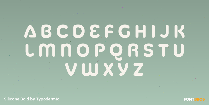 Silicone Bold Font Poster #1