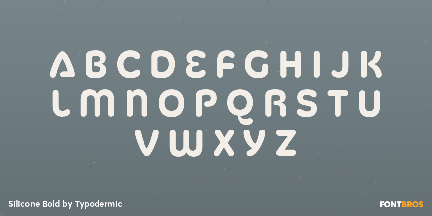 Silicone Bold Font Poster #1