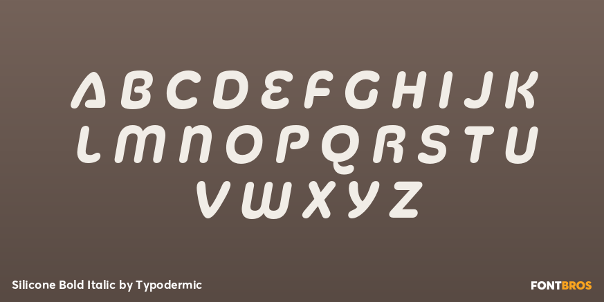 Silicone Bold Italic Font Poster #2