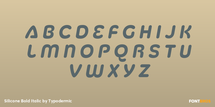Silicone Bold Italic Font Poster #1